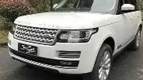 《电讯报独家揭秘：B费疑似遭遇肌肉挫伤，恐休战月余，球队备战受影响》